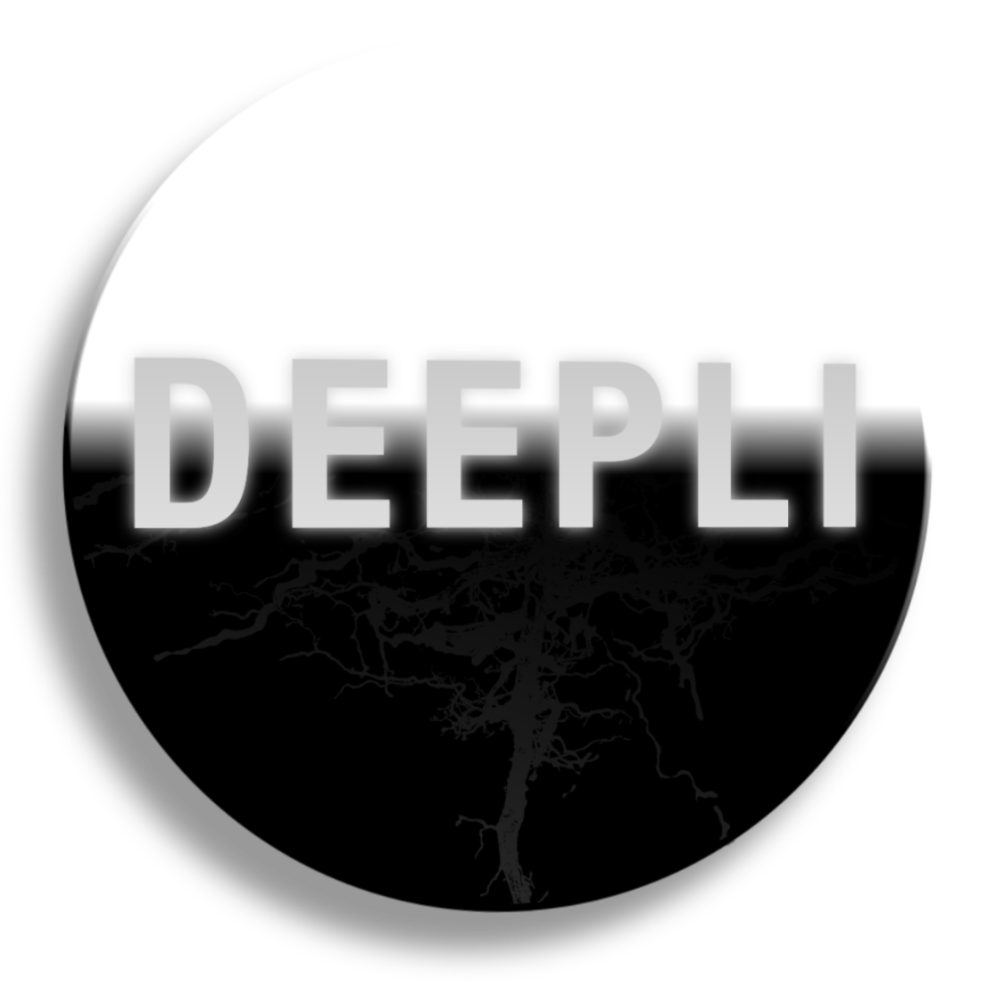 DEEPLI Yannick Vérité DEEPLI Yannick verite